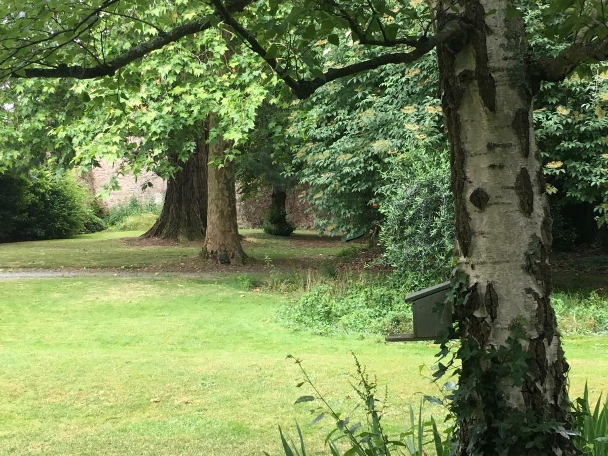 Hotel Au Rez De Jardin Cholet Esterno foto