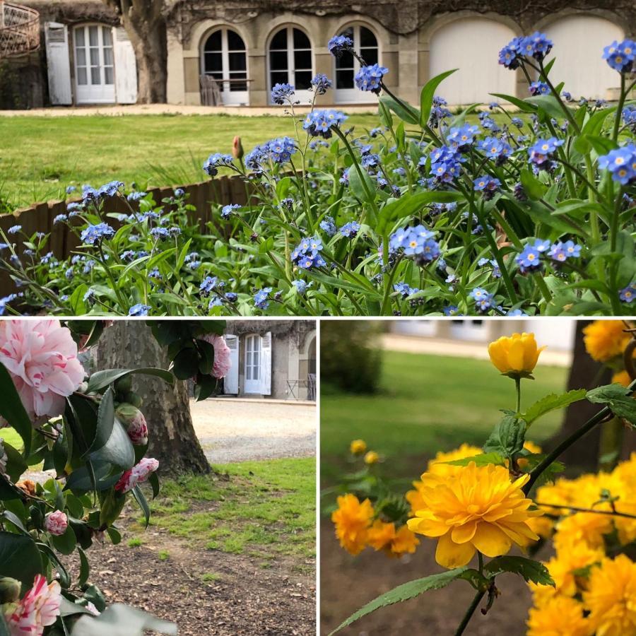 Hotel Au Rez De Jardin Cholet Esterno foto