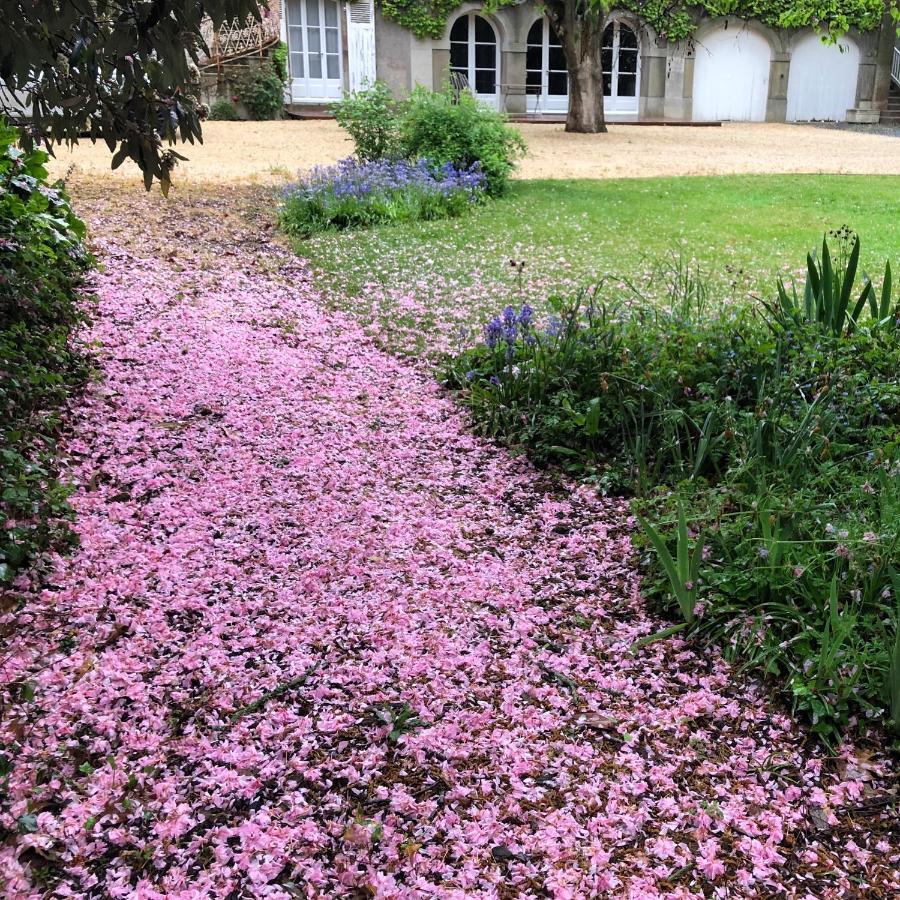 Hotel Au Rez De Jardin Cholet Esterno foto